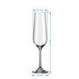 GLÄSERSET Lucca  6-teilig  - Klar, Basics, Glas (0,22l) - Novel