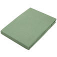 SPANNLEINTUCH 150/200 cm Jersey  - Dunkelgrün, Basics, Textil (150/200cm) - Novel