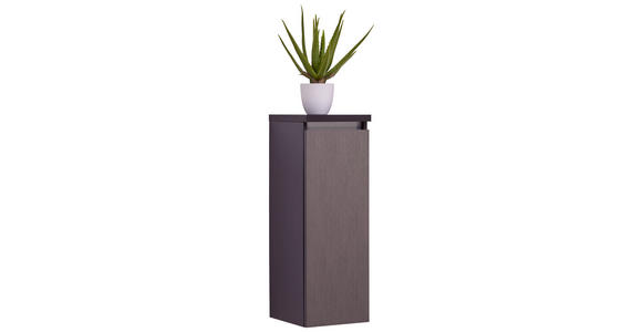 MIDISCHRANK 30/85,8/33 cm - Grau, MODERN, Glas/Holzwerkstoff (30/85,8/33cm) - Dieter Knoll