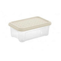 BOX S VÍKEM 2,5 l - světle hnědá, Basics, plast (26.2/17/9.6cm)