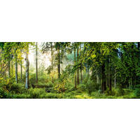 GLASBILD 125/50 cm  - Multicolor, Basics, Glas (125/50cm) - Monee