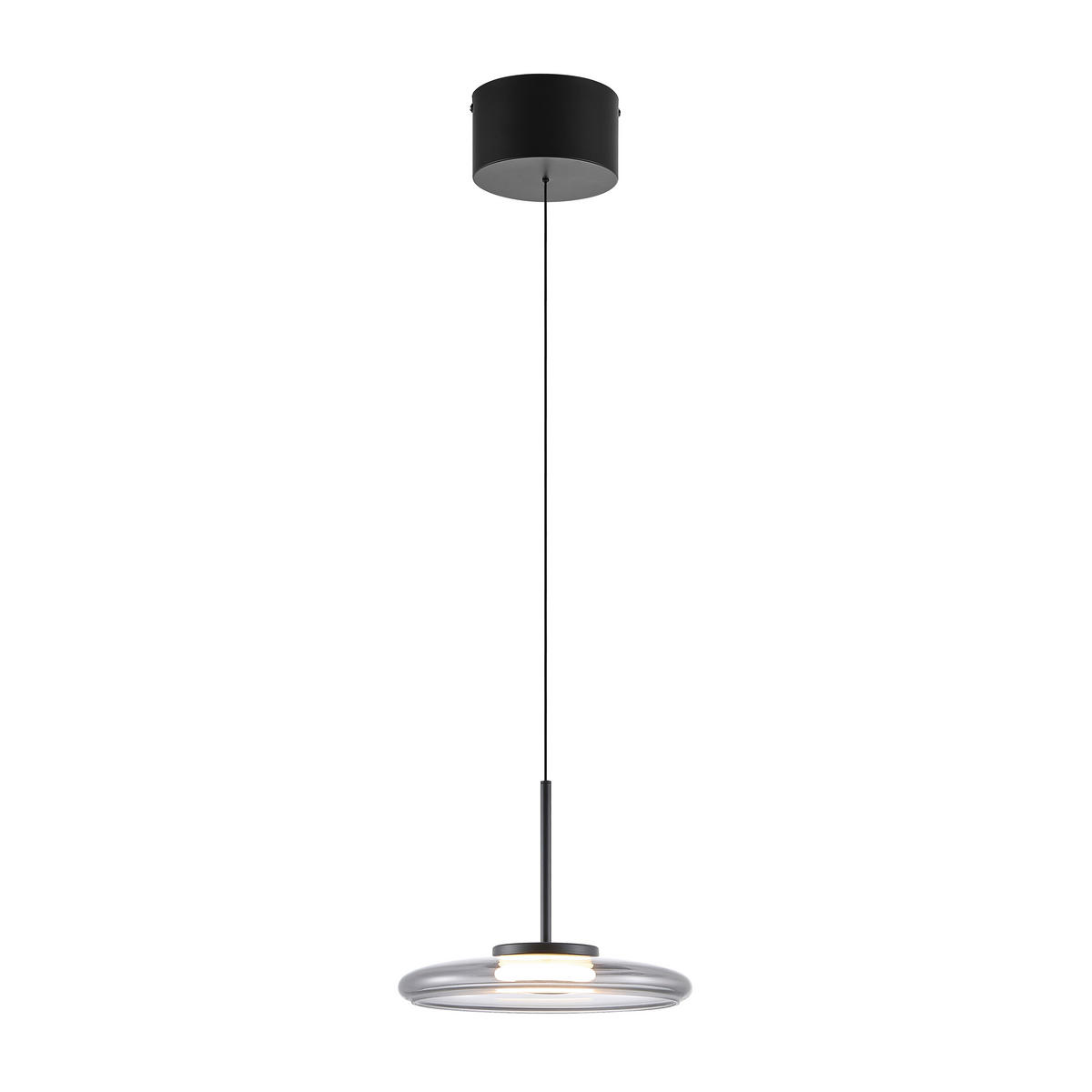 LED-HÄNGELEUCHTE Felis   - Schwarz, Basics, Glas/Metall (25cm) - Novel