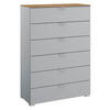 KOMMODE 80/119/42 cm  in Grau, Eichefarben  - Eichefarben/Alufarben, Trend, Holzwerkstoff/Kunststoff (80/119/42cm) - Stylife