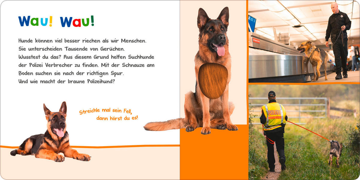 BUCH - Basics (20/20/2cm)