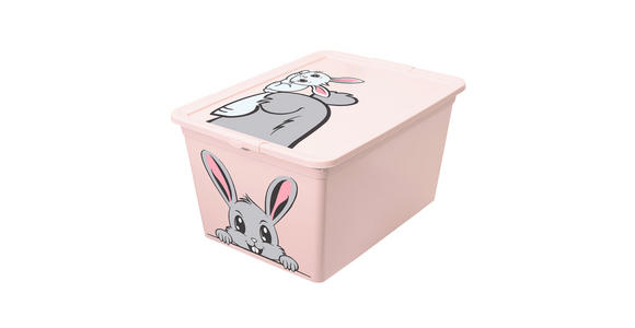 SPIELZEUGBOX 48,5/36/25 cm - Rosa, Basics, Kunststoff (48,5/36/25cm) - My Baby Lou