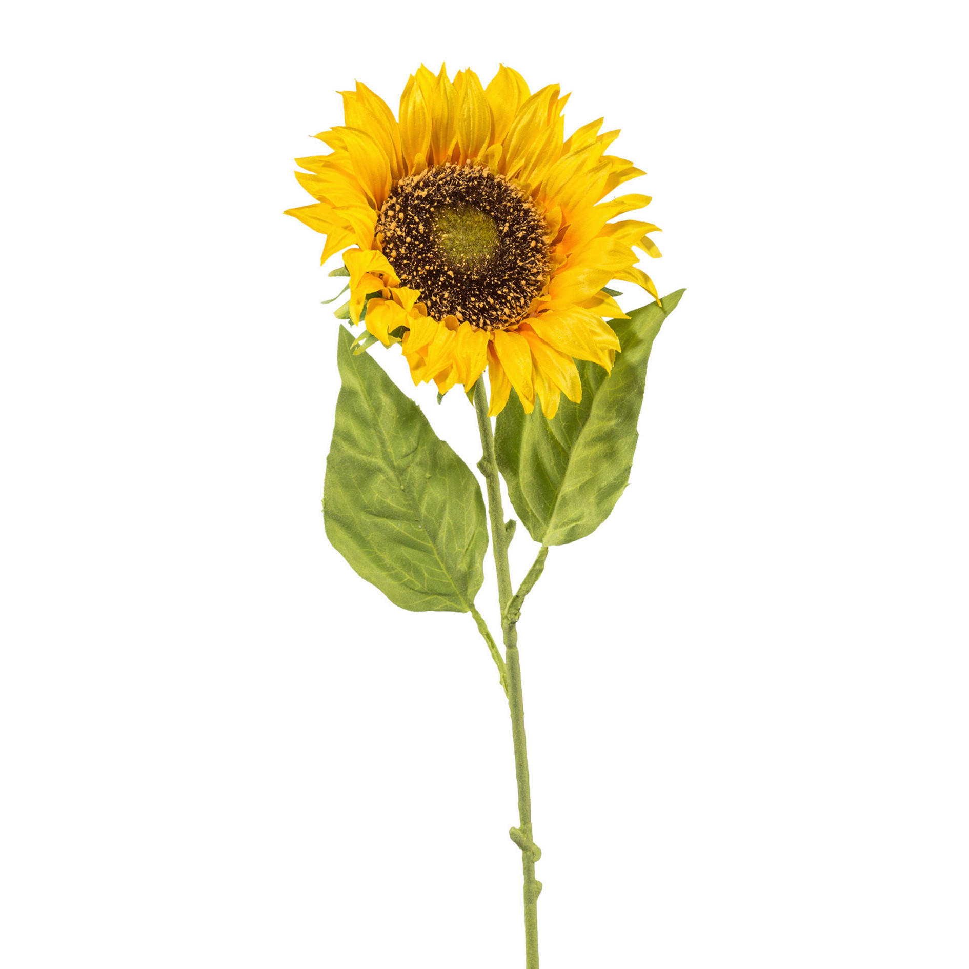 KUNSTPFLANZE Sonnenblume  - Gelb/Grün, Basics, Kunststoff (13/66/13cm)