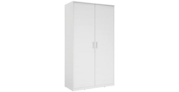 DREHTÜRENSCHRANK 106/194/54 cm 2-türig  - Silberfarben/Weiß, Basics, Holzwerkstoff/Kunststoff (106/194/54cm) - Xora