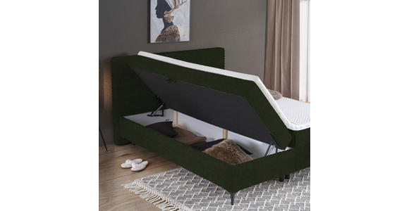 BOXBETT 160/200 cm in Grün - Schwarz/Grün, Design, Holz/Holzwerkstoff (160/200cm) - Xora