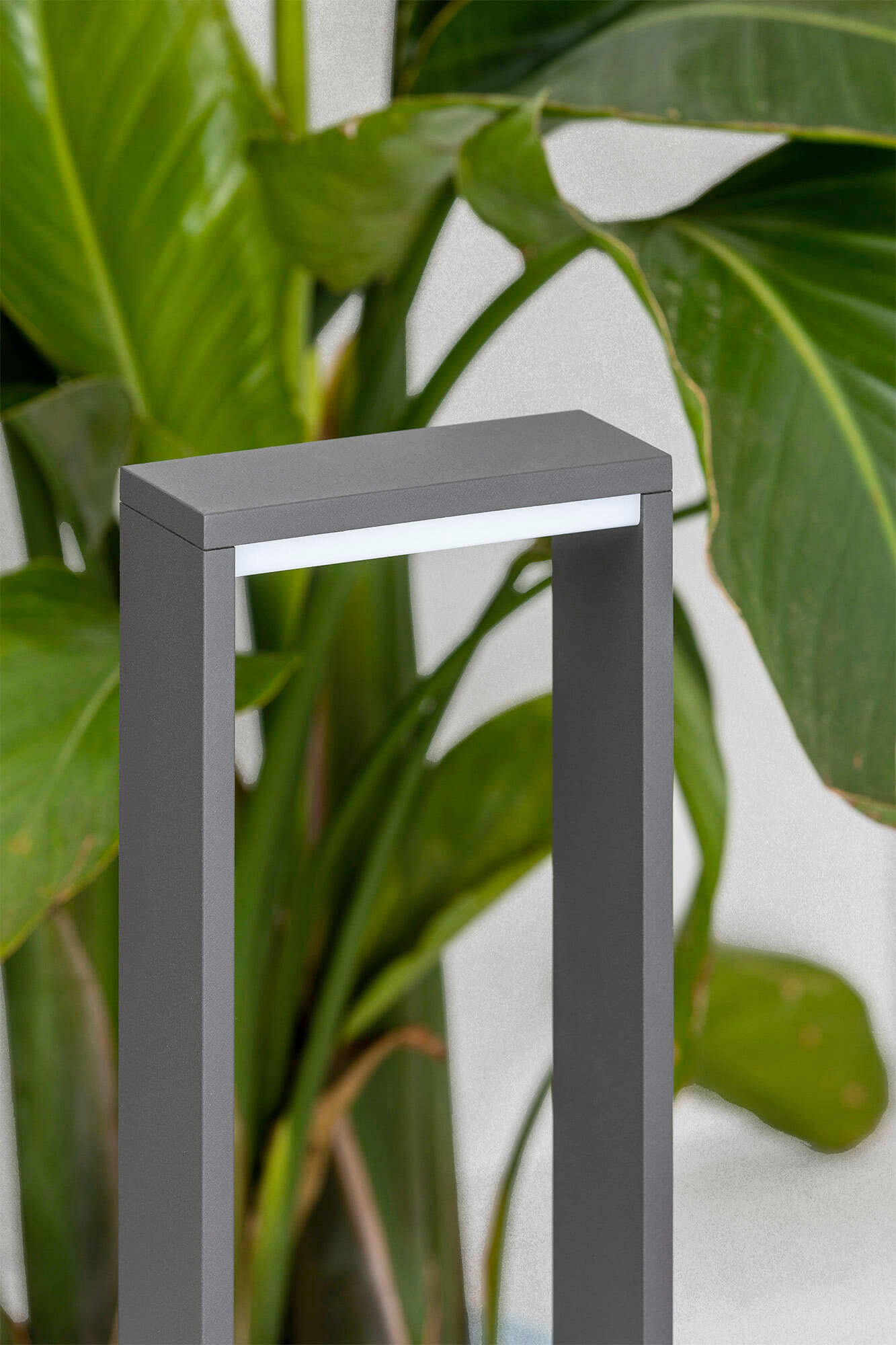 SOCKELLEUCHTE 15/6/50 cm   - Dunkelgrau, Design, Metall (15/6/50cm)