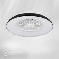 DECKENVENTILATOR 48,5/16 cm  - Schwarz/Weiß, Design, Kunststoff (48,5/16cm)