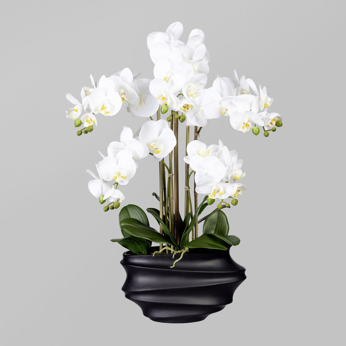 KUNSTBLUME - Schwarz/Weiß, Trend, Kunststoff (75cm) - P & B