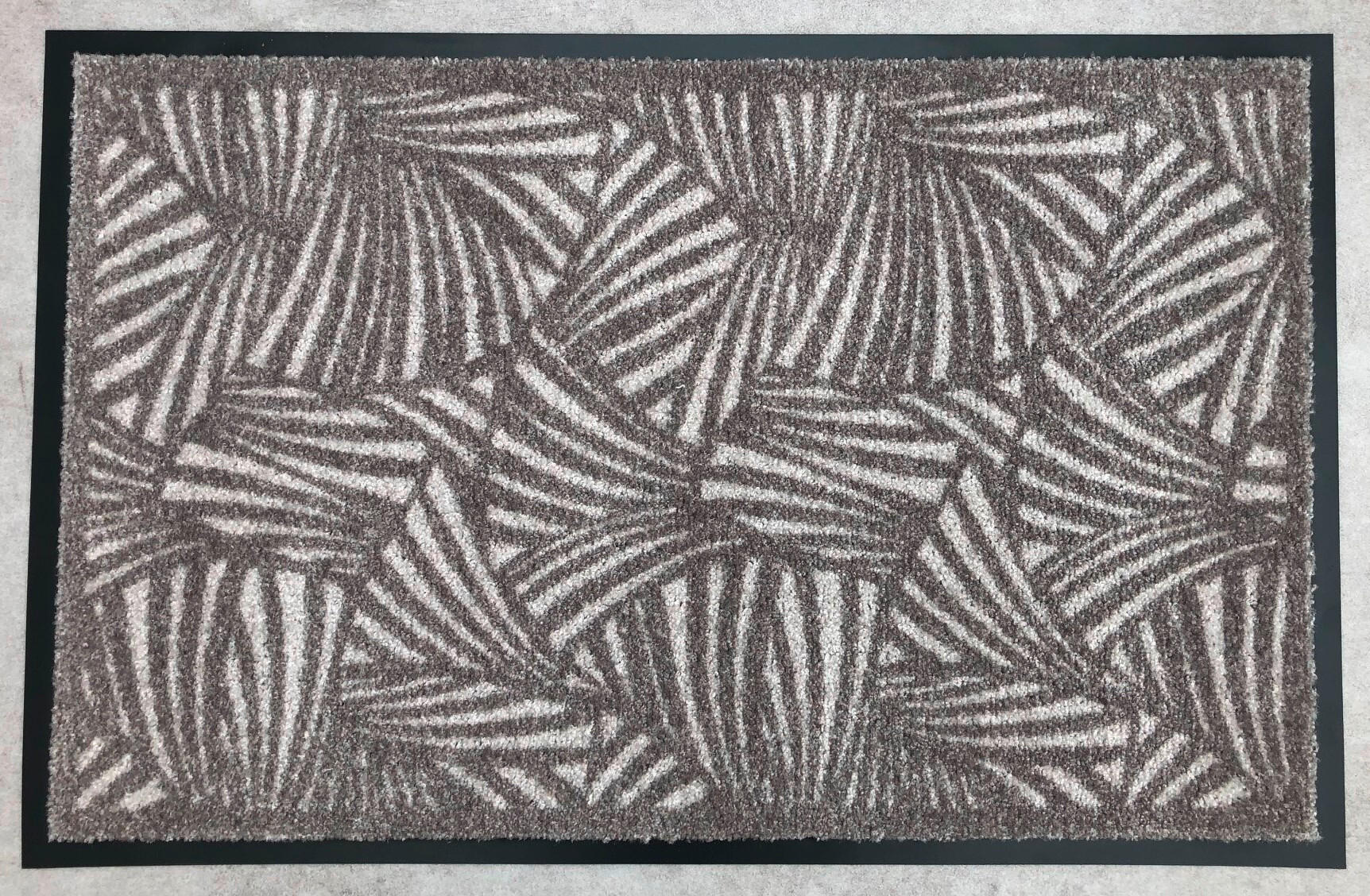 SCHMUTZFANGMATTE - Multicolor, Basics, Kunststoff (45/75cm)