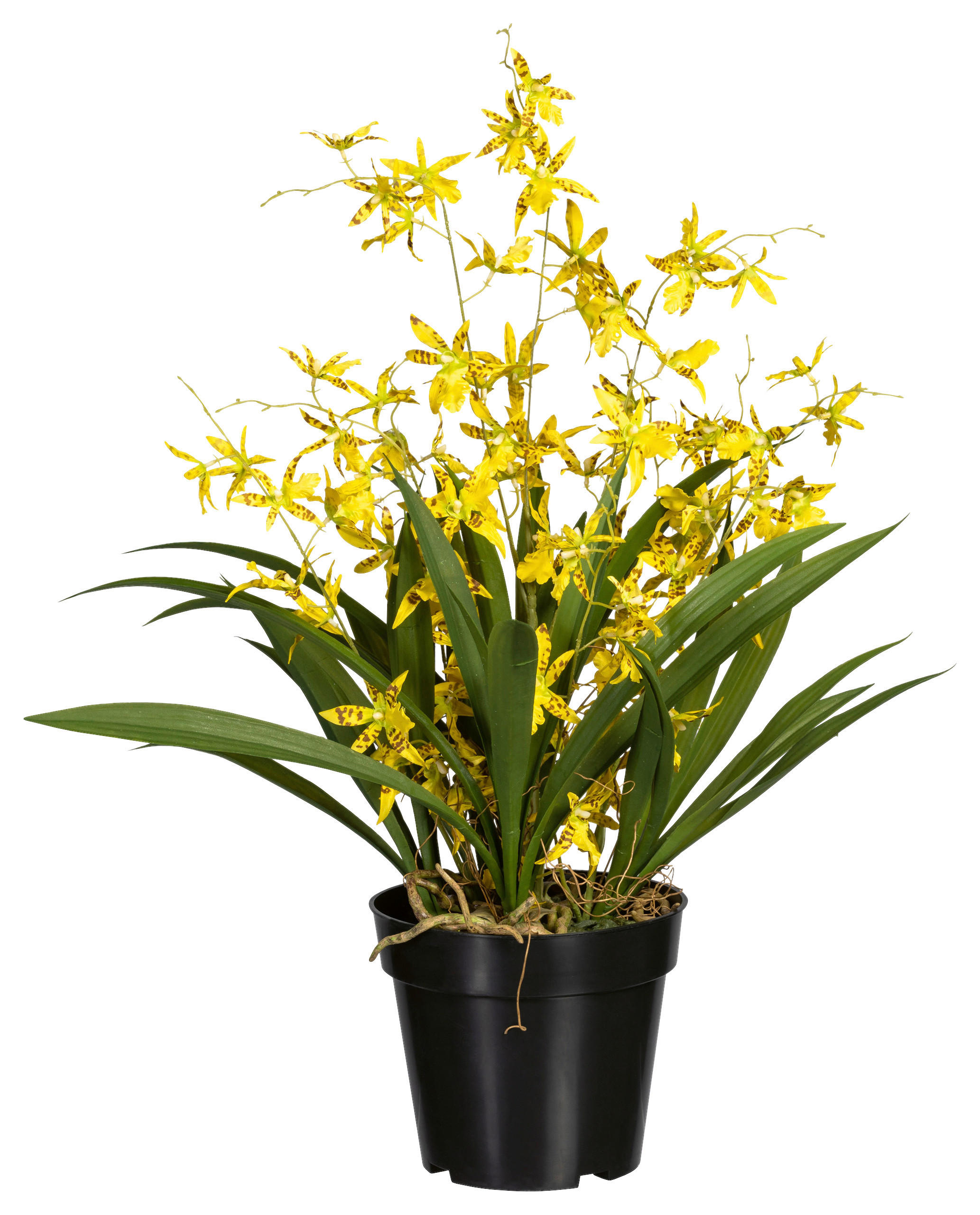 KUNSTPFLANZE Orchidee 60 cm  - Gelb/Schwarz, Design, Kunststoff/Textil (60cm) - P & B