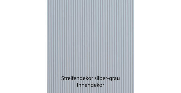 DREHTÜRENSCHRANK 300/236/58 cm 6-türig  - Schieferfarben/Hellgrau, Design, Glas/Holzwerkstoff (300/236/58cm) - Novel