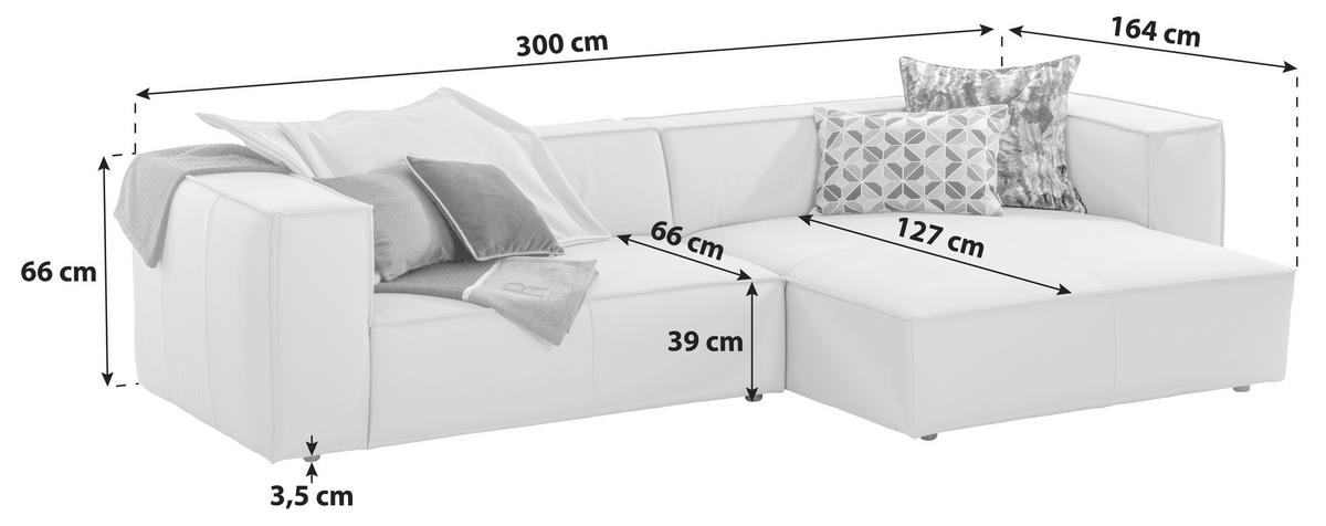 ECKSOFA Echtleder Graphitfarben  - Schwarz/Graphitfarben, Modern, Leder/Kunststoff (300/164cm) - W.Schillig