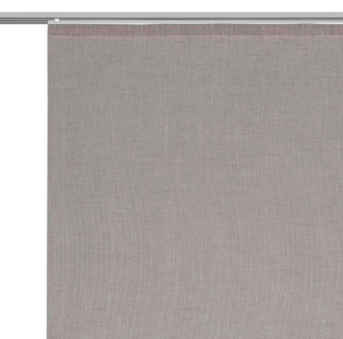 FLÄCHENVORHANG   transparent   60/245 cm  - Braun, Design, Textil (60/245cm) - Novel
