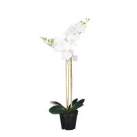 ORHIDEJA PHALAENOPSIS        38/70 cm       - bela, Basics, umetna masa (38/70cm)