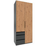 DREHTÜRENSCHRANK  in Graphitfarben, Eiche Artisan  - Schwarz/Graphitfarben, KONVENTIONELL, Holzwerkstoff/Metall (100/236/58cm) - Hom`in