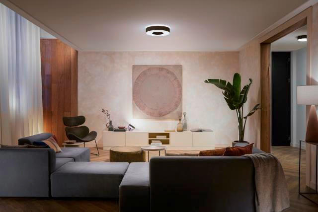 LED-DECKENLEUCHTE 38,1/8,4 cm    - Schwarz, Design, Metall (38,1/8,4cm) - Philips HUE