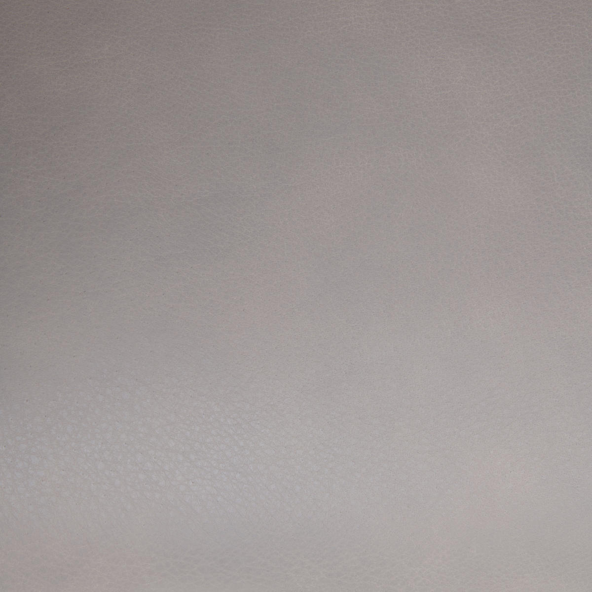 SESSEL in Echtleder Hellgrau  - Hellgrau/Schwarz, Design, Leder/Metall (80/104/99cm) - Koinor