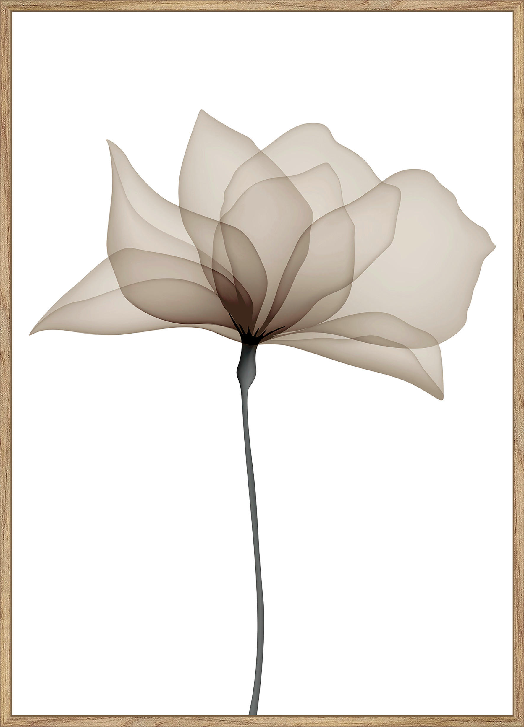 ART PRINT 51,2/71,2 cm