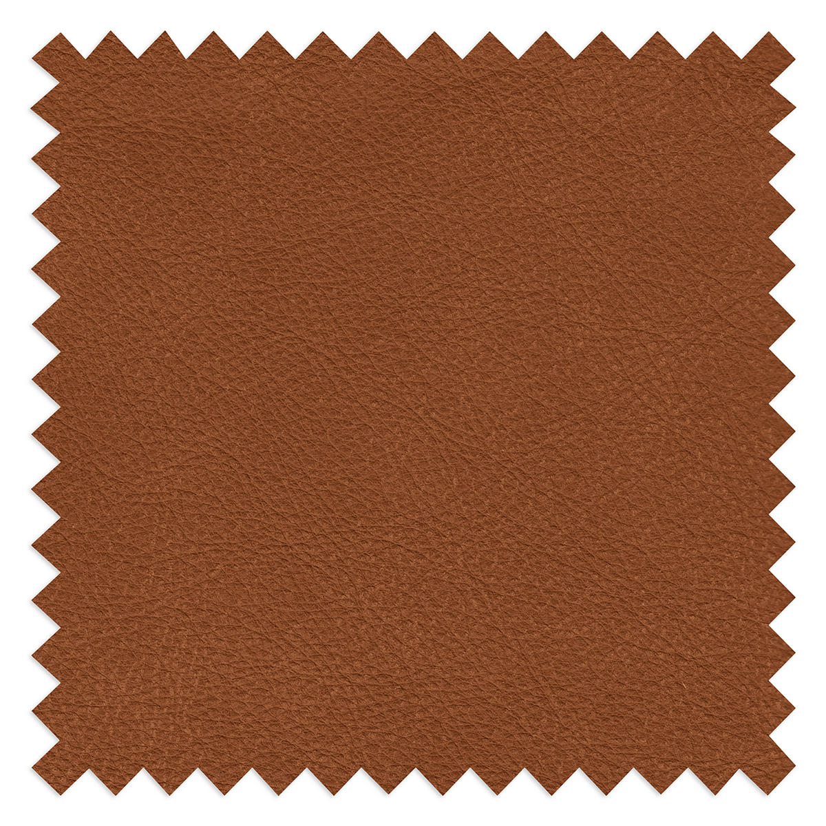 2-SITZER-SOFA  in Echtleder Karamell   - Beige/Karamell, Design, Leder/Kunststoff (240/85/123cm) - Livetastic