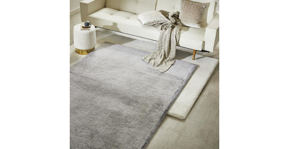 HOCHFLORTEPPICH 80/150 cm Tenei Silberfarben - Silberfarben, Design, Textil (80/150cm) - Novel