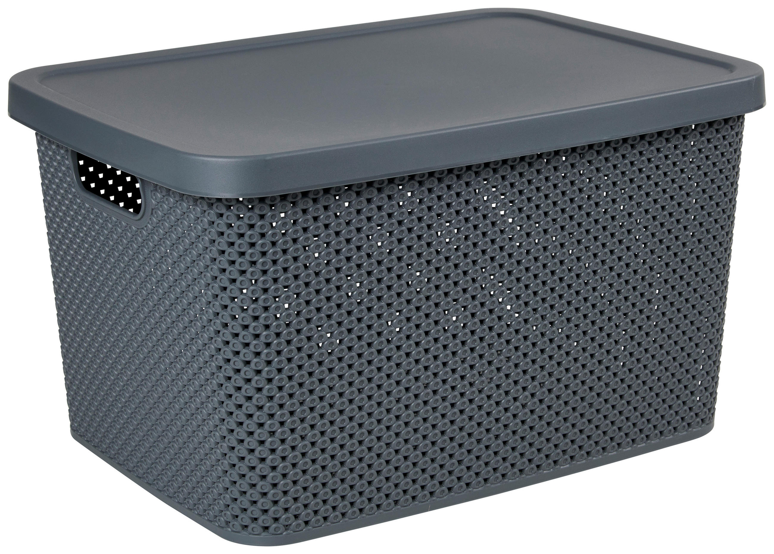 CUTIE PENTRU DEPOZITARE    38,5/28/22 cm  - gri închis, Basics, plastic (38,5/28/22cm) - Homeware