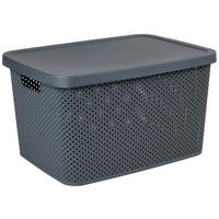 CUTIE PENTRU DEPOZITARE    38,5/28/22 cm  - gri închis, Basics, plastic (38,5/28/22cm) - Homeware