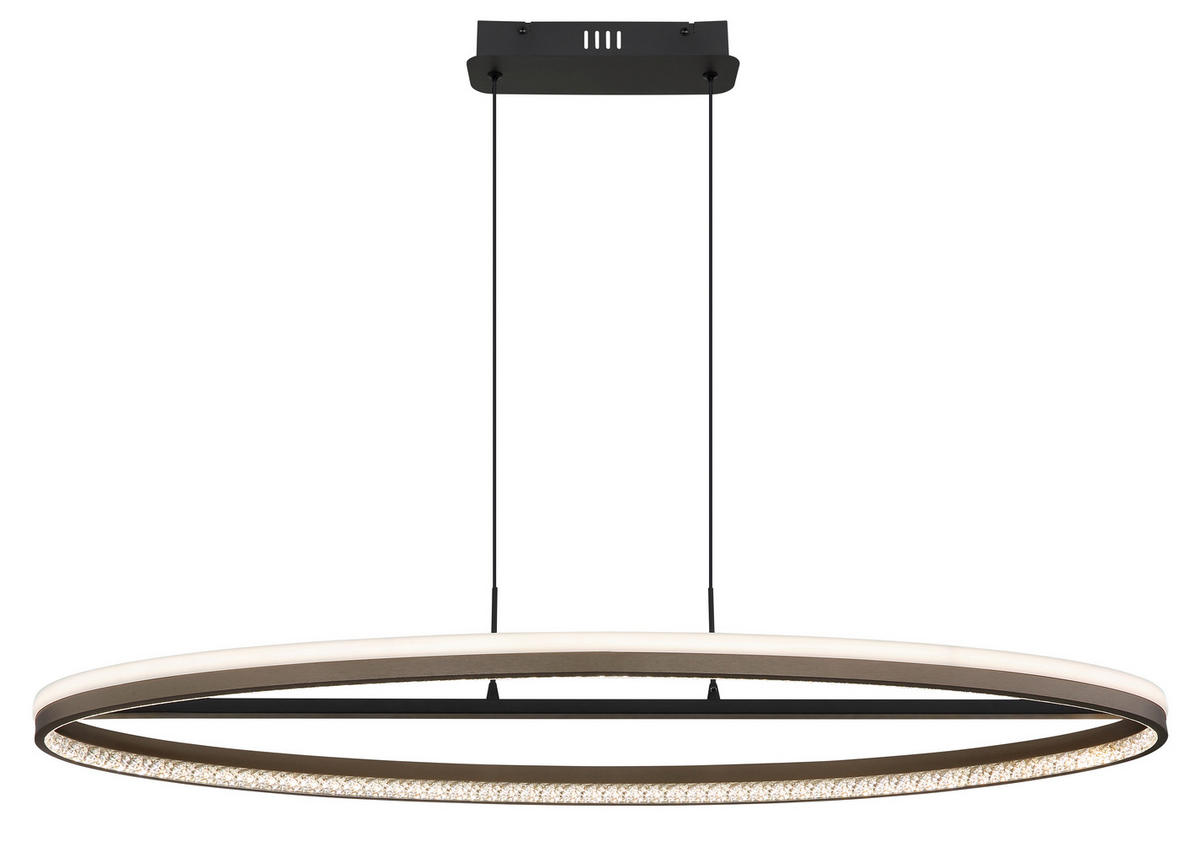 ZÁVĚSNÉ LED SVÍTIDLO, 101/29/150 cm - černá/čiré, Design, kov/plast (101/29/150cm) - Globo