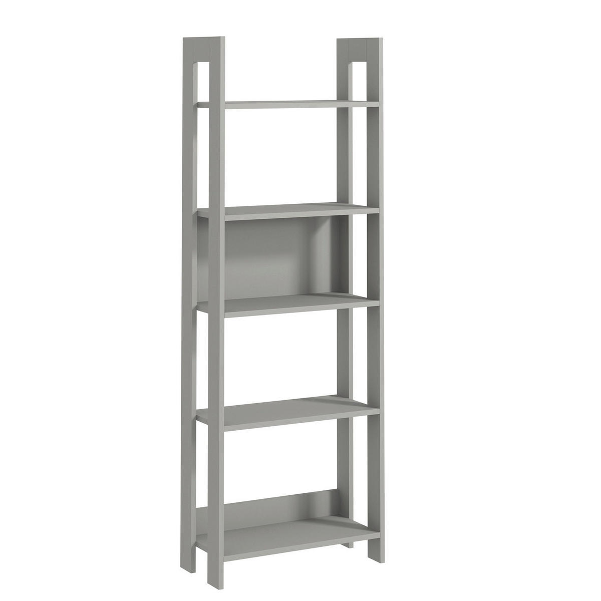 REGAL Grau  - Grau, Design, Holzwerkstoff (64/180/30cm) - Livetastic