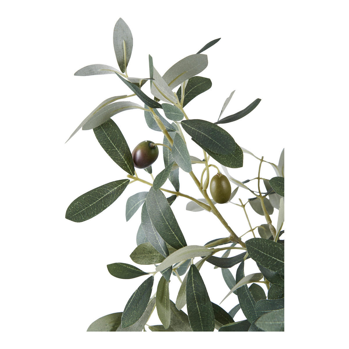 KUNSTPFLANZE Olive  - Grün, Design (22.5/61/36.5cm)