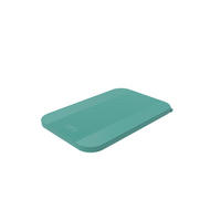 SILIKONDECKEL  - Mintgrün, Basics, Kunststoff (22,1/14,8/1cm) - Rotho