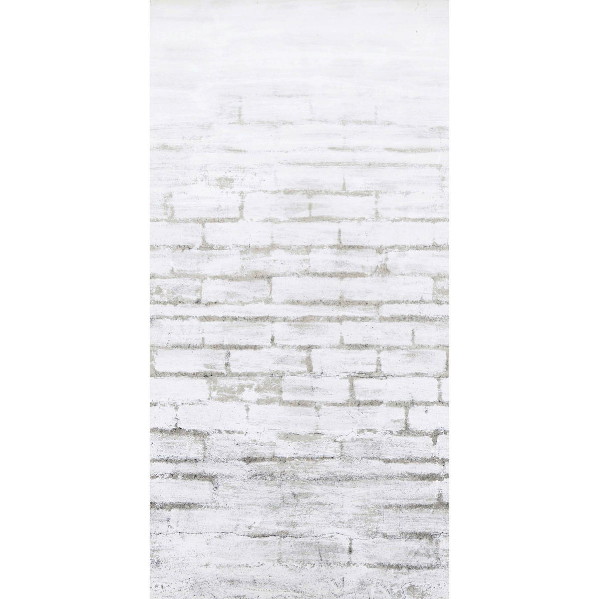 FOTOTAPETE  - Weiß, Basics, Papier/Kunststoff (150/280cm)