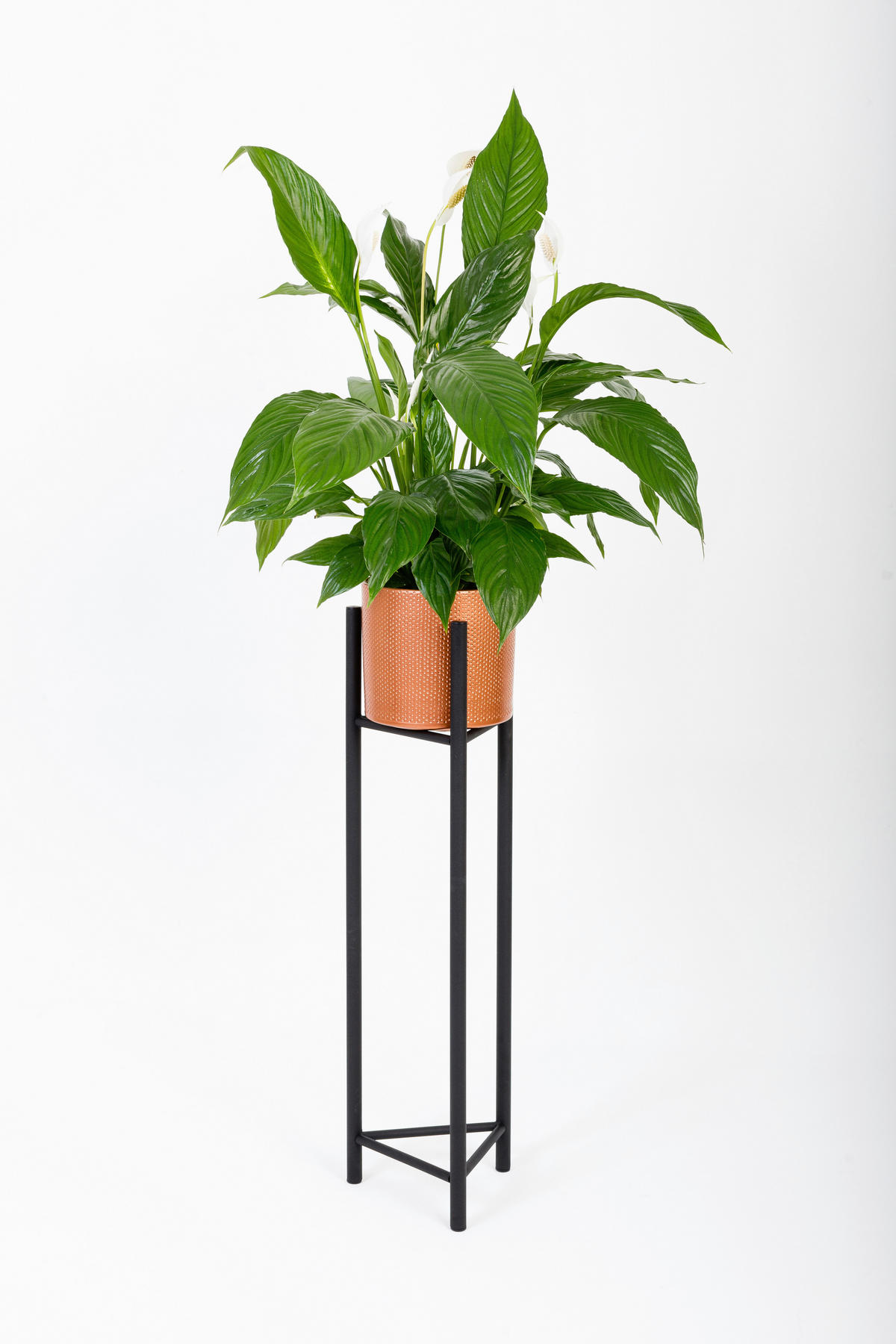 BLUMENSTÄNDER in Metall  - Schwarz, Basics, Metall (23/90/23cm)