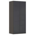 DREHTÜRENSCHRANK 101/223/61 cm,  in Graphitfarben, 2-türig  - Graphitfarben, Basics, Glas/Holzwerkstoff (101/223/61cm) - Novel