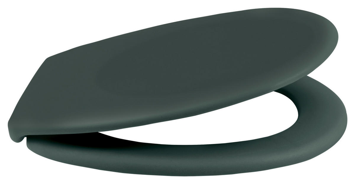WC-SITZ - Dunkelgrün, KONVENTIONELL, Kunststoff (37,3/5cm) - Spirella