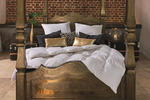 DAUNENDECKE  Golden Fame  135/200 cm   - Weiß, Basics, Textil (135/200cm) - Centa-Star