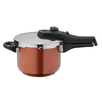 SCHNELLKOCHTOPF SYSTEM RAPID 3,2 L  - Bronzefarben, Basics, Metall (18cm) - GSW