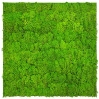 AKUSTIKPANEEL Modular Wall System Moos Hellgrün 52/52/4 cm  - Hellgrün, KONVENTIONELL, Naturmaterialien (52/52/4cm) - Jangal