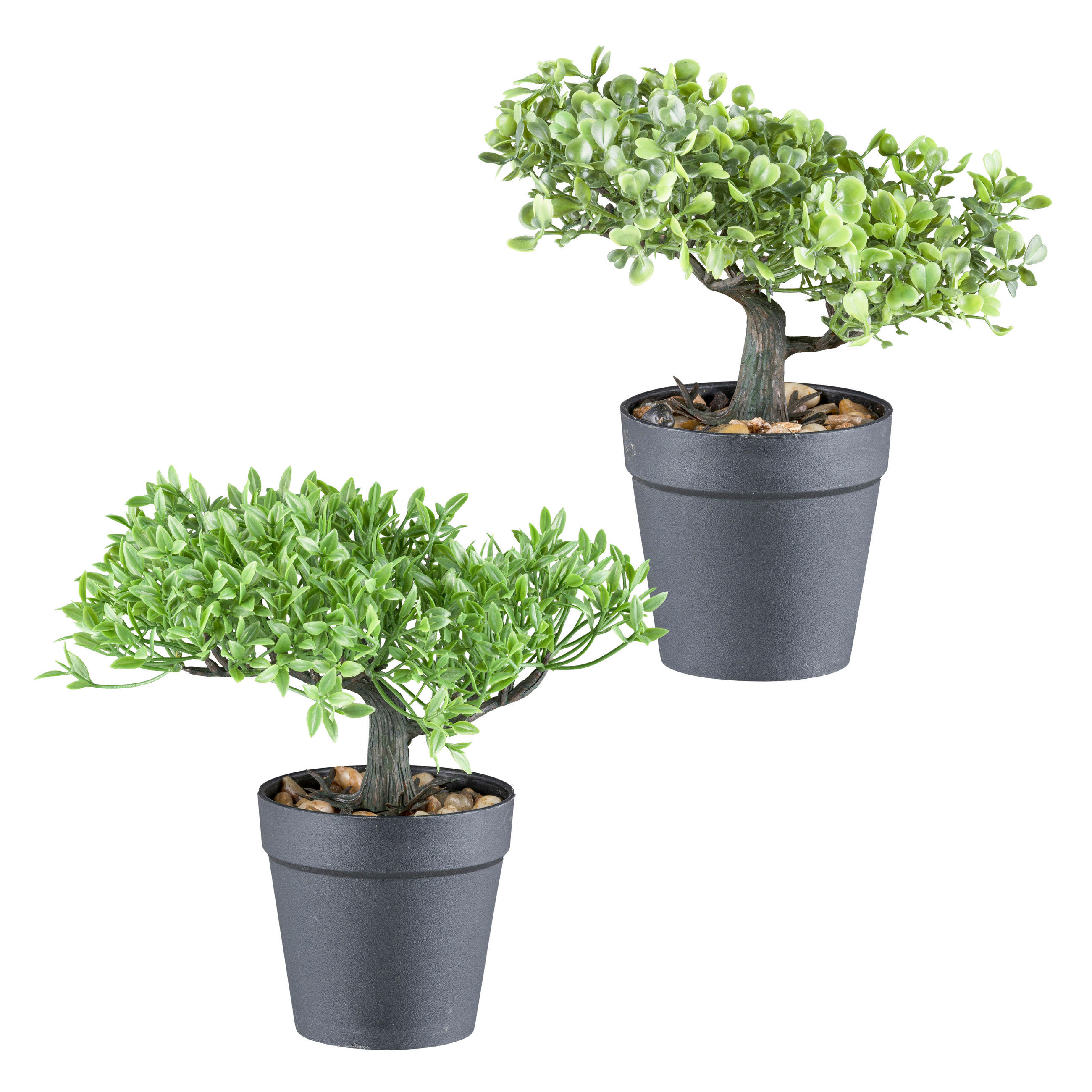 KUNSTPFLANZE Bonsai 20 cm  - Schwarz/Braun, Design, Kunststoff (20cm) - P & B