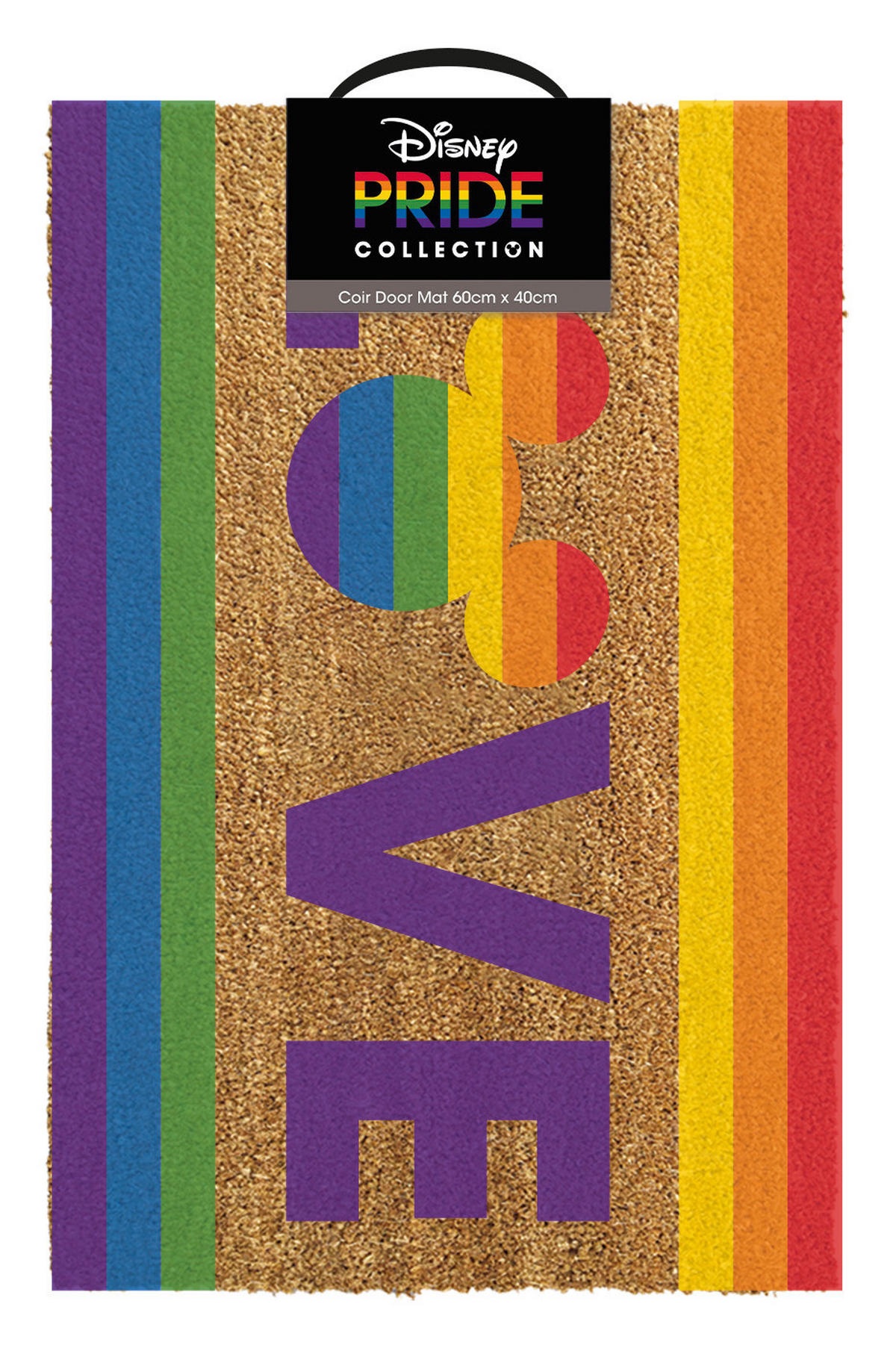 FUßMATTE   Braun, Multicolor  - Multicolor/Braun, Basics, Kunststoff/Textil (60/40/0,15cm) - Disney