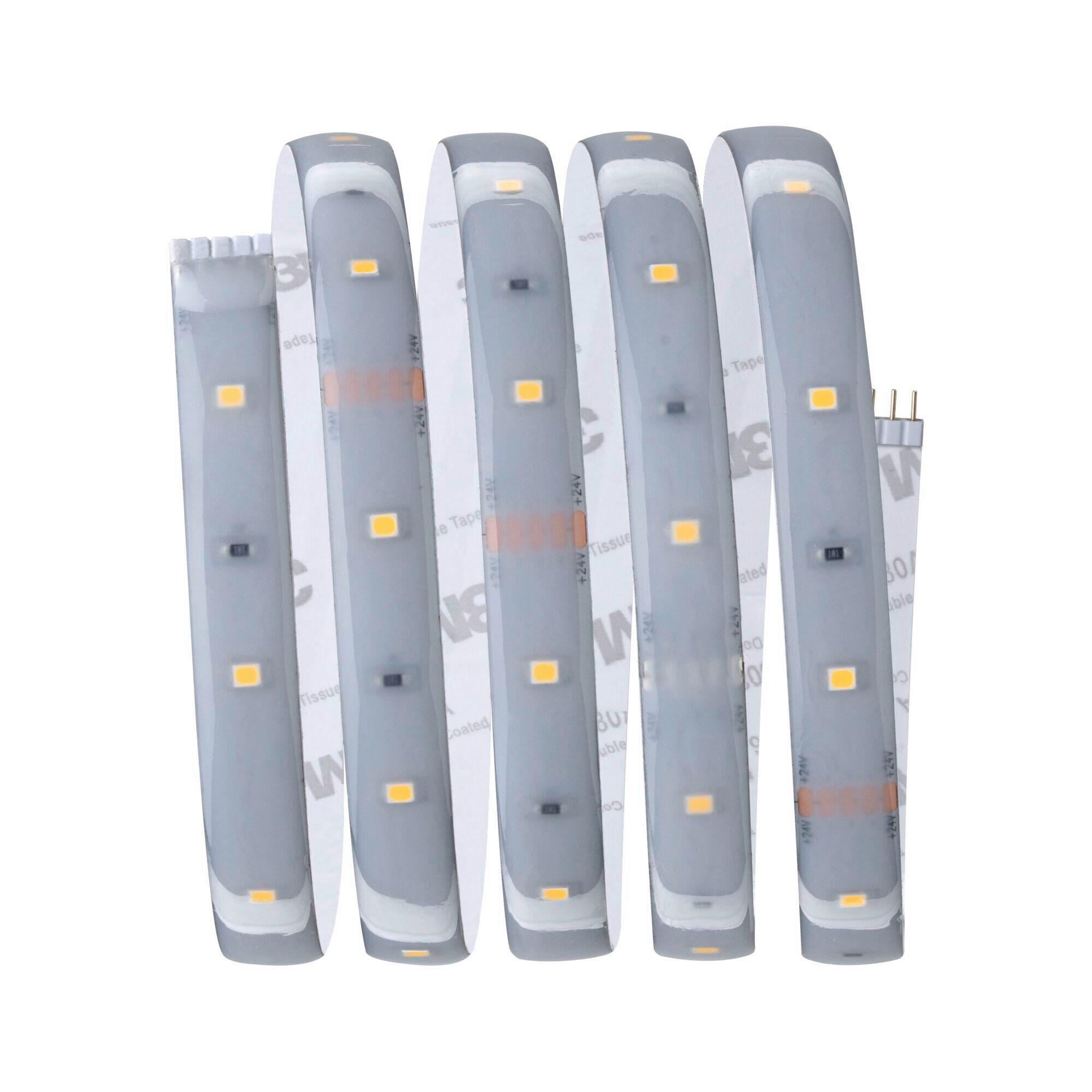 LED-STRIP MaxLED 250 150 cm   - Silberfarben, Basics, Kunststoff (150cm) - Paulmann