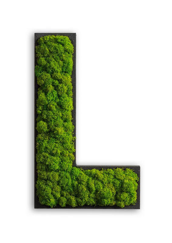 StyleGREEN MECHOVÝ OBRAZ