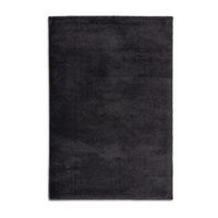 HOCHFLORTEPPICH 160/230 cm Salerno Anthrazit rechteckig  - Anthrazit, Basics, Textil (160/230cm) - Astra