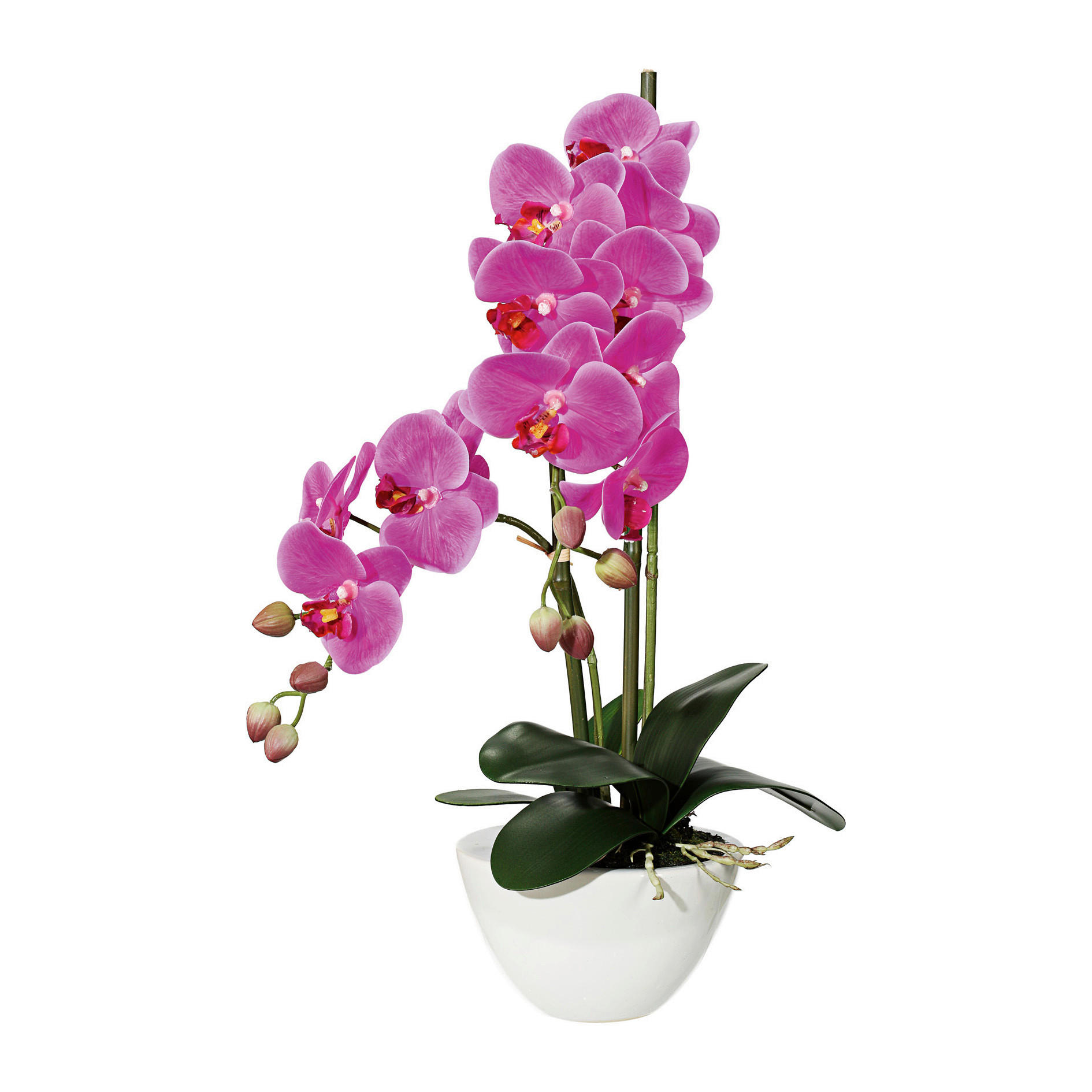KUNSTPFLANZE Orchidee 50 cm  - Pink/Weiß, Design, Keramik/Kunststoff (50cm)
