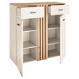 SCHUHSCHRANK 100/103/38 cm - Kaschmir/Eichefarben, Basics, Holzwerkstoff/Kunststoff (100/103/38cm) - Xora