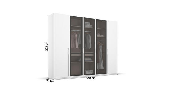 DREHTÜRENSCHRANK 251/223/60 cm 5-türig Grau, Weiß - Weiß/Grau, Trend, Glas/Holzwerkstoff (251/223/60cm) - Novel