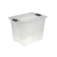 ŠKATLA S POKROVOM   39,5/29,5/30 cm     - prosojno, Basics, umetna masa (39,5/29,5/30cm)