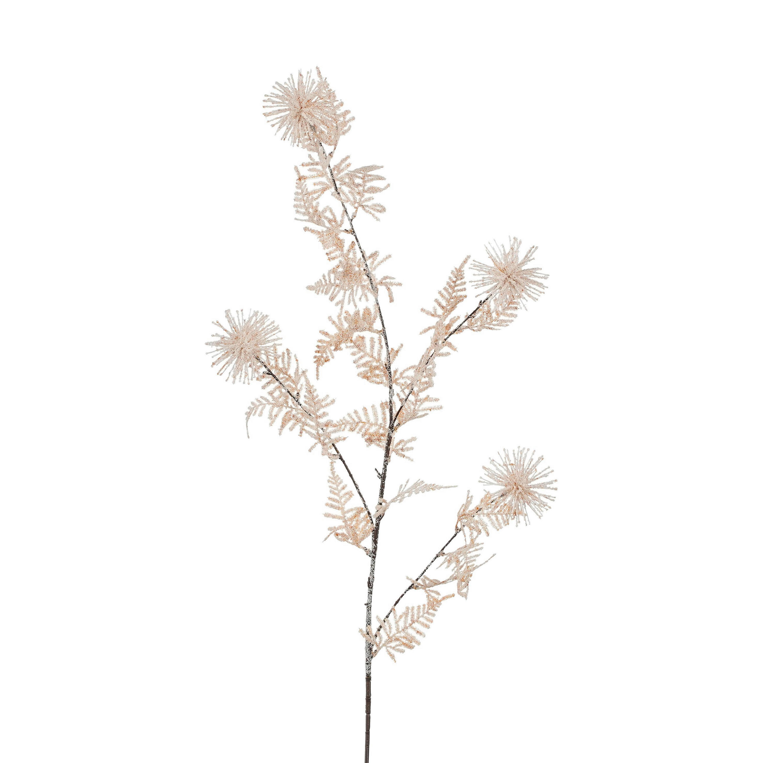 UKRASNA GRANA - šampanjac/bela, Osnovno (118/12/12cm)